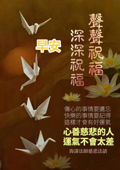 image%3A37531