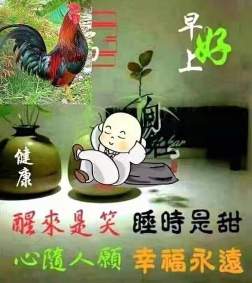 image%3A39847