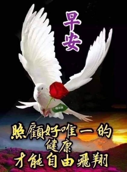 image%3A42526