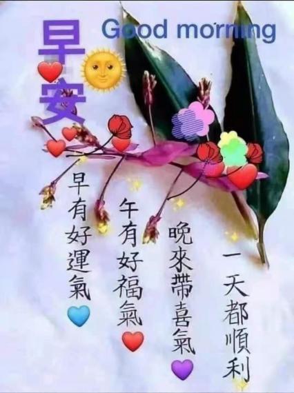 image%3A45228
