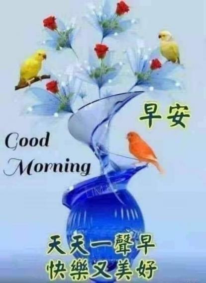 image%3A46437