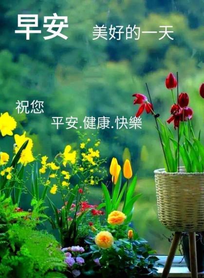 image%3A46722