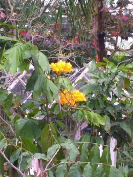 image%3A66196