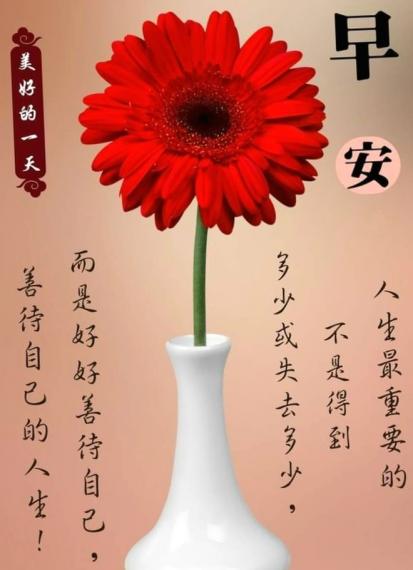 image%3A9143