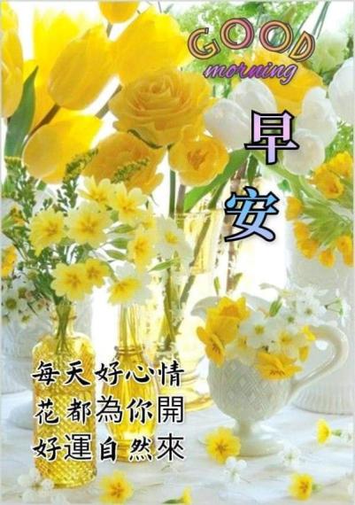 image%3A96411