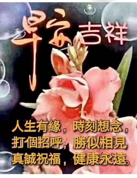 image%3A98463