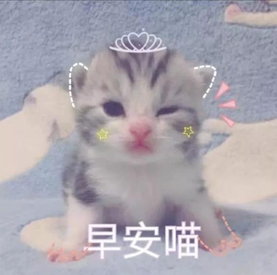 貓咪向我說早晨

朋友是貓痴，她送我一隻會說早安喵的可愛貓兒作早上問候，十分窩心。...