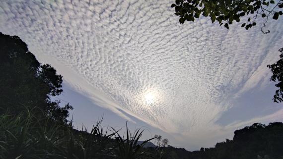 賞雲

今天有機會欣賞到魚鱗雲。...