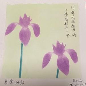 菖蒲花
菖蒲花是代表端午節氣的花。端午節有把菖蒲葉和艾草捆一起插於簷下的習俗，根莖可製香味料。...