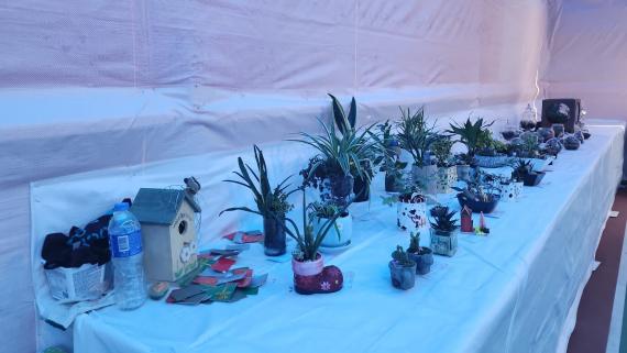 香港北區花鳥蟲魚展覽會2022完結後，有不少參賽者放棄拿走作品，主辦單位決定免費送給非牟利機構。...