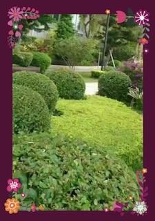 屋苑花園

感謝園丁天天辛勞打理花園，使屋苑內住戶可以在清潔、鳥語花香的花園來放閒。...