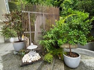 小花園

只有綠色植物的小花園，加上石景也可以很優雅。...