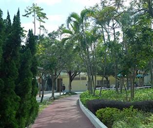 緩跑徑
很多公園都有緩跑徑，而緩步跑是帶氧好運動，因熱血沸騰脈絡就貫通。...