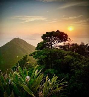 大自然的美
天空、太陽、雲、山、樹木、花朵，全是大自然的創造，非常美麗。...