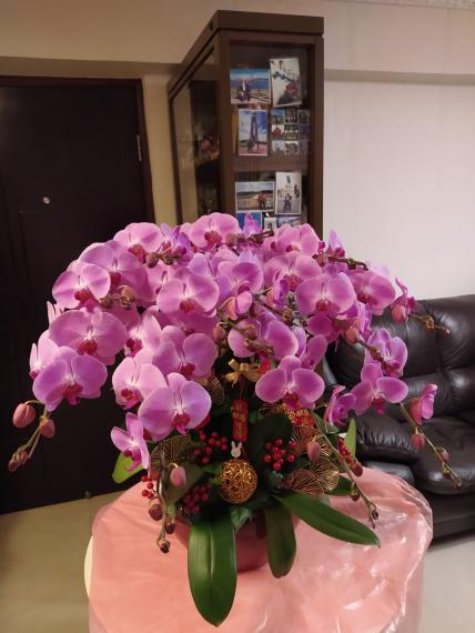 蘭花

近日天氣好，蘭花盛放，一片欣欣向榮現象。...