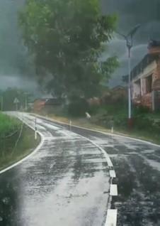 下雨天

下雨天，地上的雨水反射部份路面情況，頗有趣。...