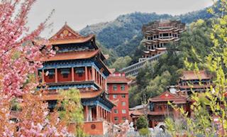 曼殊寺

曼殊寺，又叫淨土寺，它位於位於甘肅省天水市東南。整座寺廟的建築整體是以藏紅色為基調，所能看到的牆體、橫樑立柱、琉璃等都是一致性的顏色，建築高高矮矮、錯落有致，又很多層次感。在曼殊寺中，除了那...