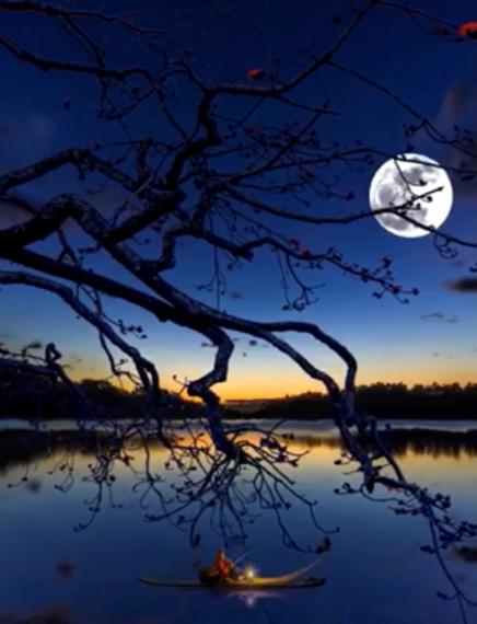 月夜泛舟
月夜泛舟是多麼浪漫啊！...