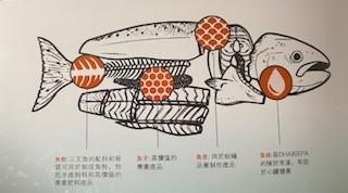 三文魚
三文魚周身是寶:魚油有助心臟健康;魚子是高價值的專業產品;魚皮可用於紡織品製作;魚粉來自魚骨頭,可用於水產飼料。... 三文魚
三文魚周身是寶:魚油有助心臟健康;魚子是高價值的專業產品;魚皮可用於紡織品製作;魚粉來自魚骨頭,可用於水產飼料。...
