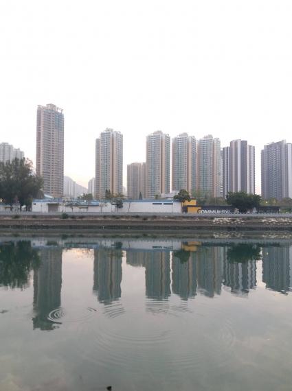 美麗的倒影
我很欣賞能拍出美麗倒影的照片。...
