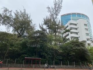 週日下午的洗衣街
洗衣街橫跨太子和旺角兩區,是一條交通便利,食和購物的好地方。今因疫症和限聚令,街上頗冷清。... 週日下午的洗衣街
洗衣街橫跨太子和旺角兩區,是一條交通便利,食和購物的好地方。今因疫症和限聚令,街上頗冷清。...