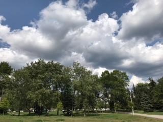 白雲蓋天

藍天白雲已經很美，如棉花般白雲蓋天保護著眾多的大樹，大樹真幸福。...