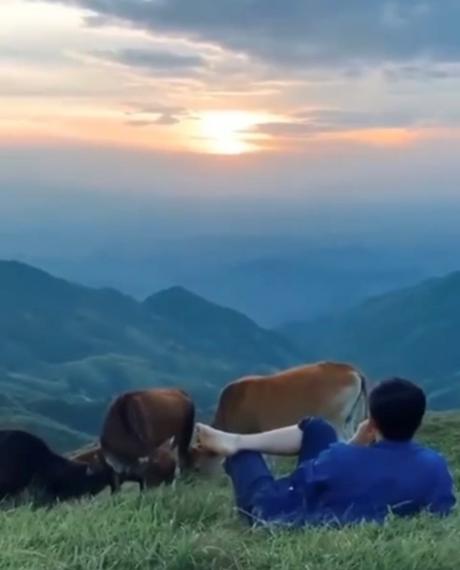 年輕人心態

聽聞現今年輕人心態是要玩、要樂、要豁達和要幽默。...