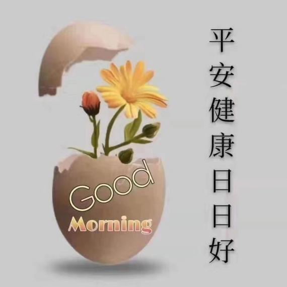 FB32E2D9-A5AE-42C7-933A-E8068EA267F4