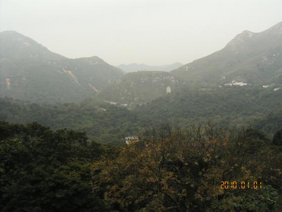KIF_7949